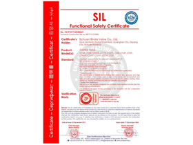 SIL3设备安全性能等级证书1